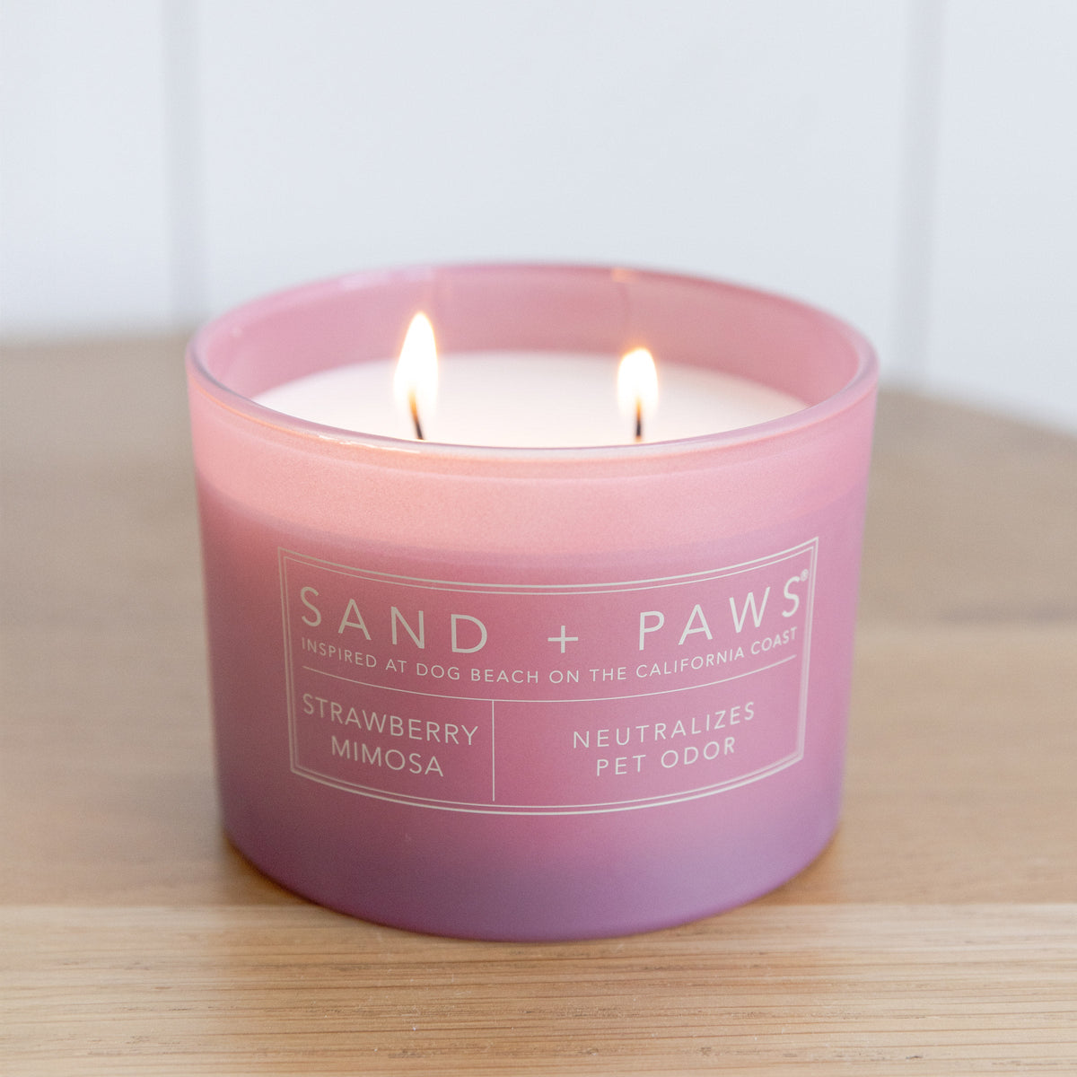 Sand + Paws  Set of 3 12 oz Candles with Carved Wood Lids