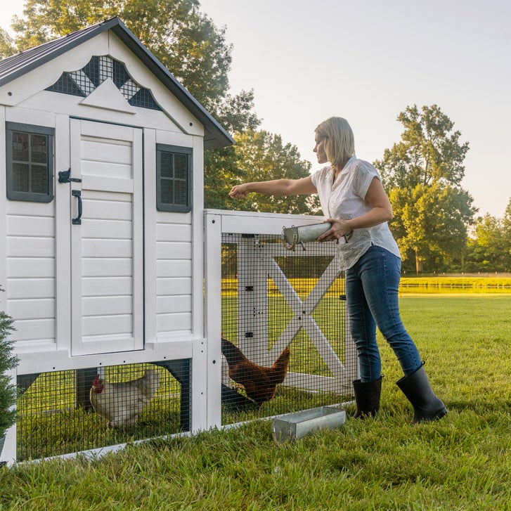 Backyard Discovery Cedar Roost White Chicken Coop - image 2