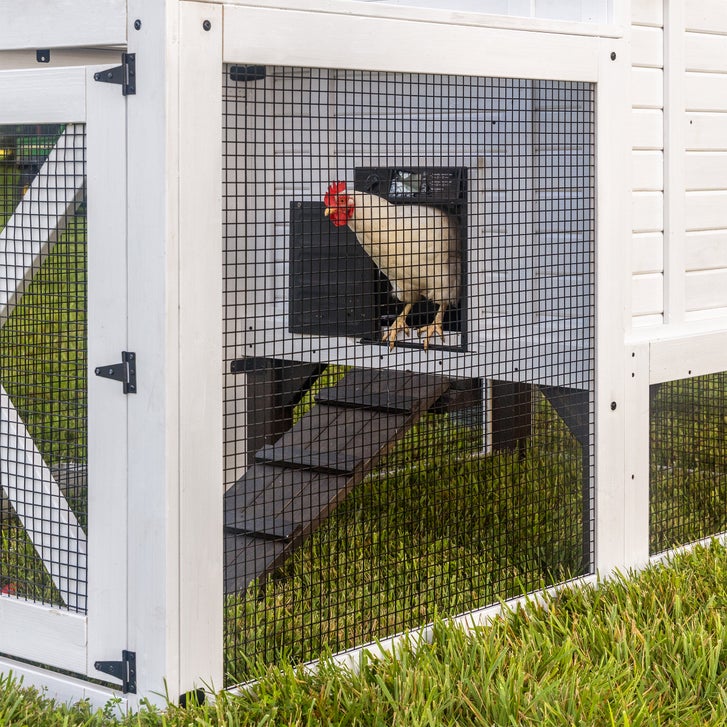 Backyard Discovery Cedar Roost White Chicken Coop - image 4