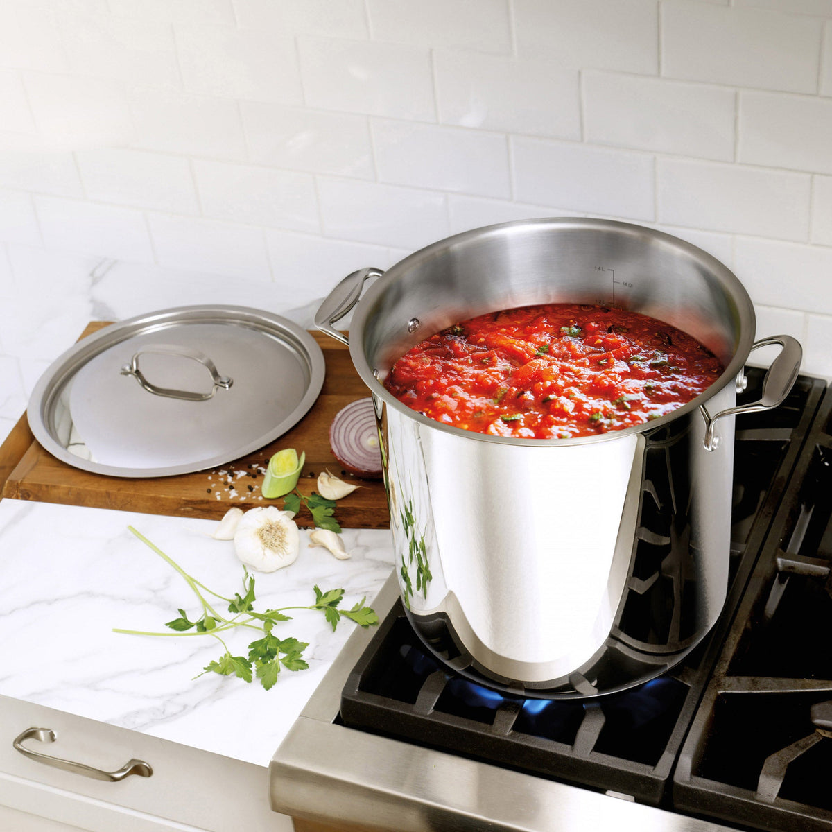 Bergner 16.9-quart Stainless Steel Stock Pot with Lid