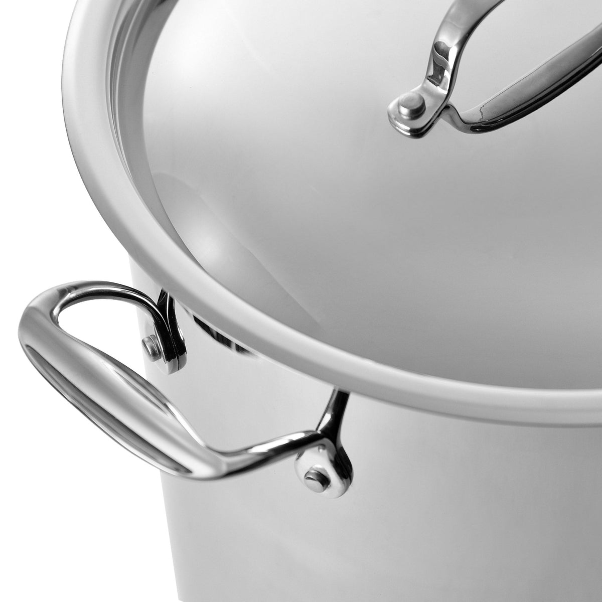 Bergner 16.9-quart Stainless Steel Stock Pot with Lid
