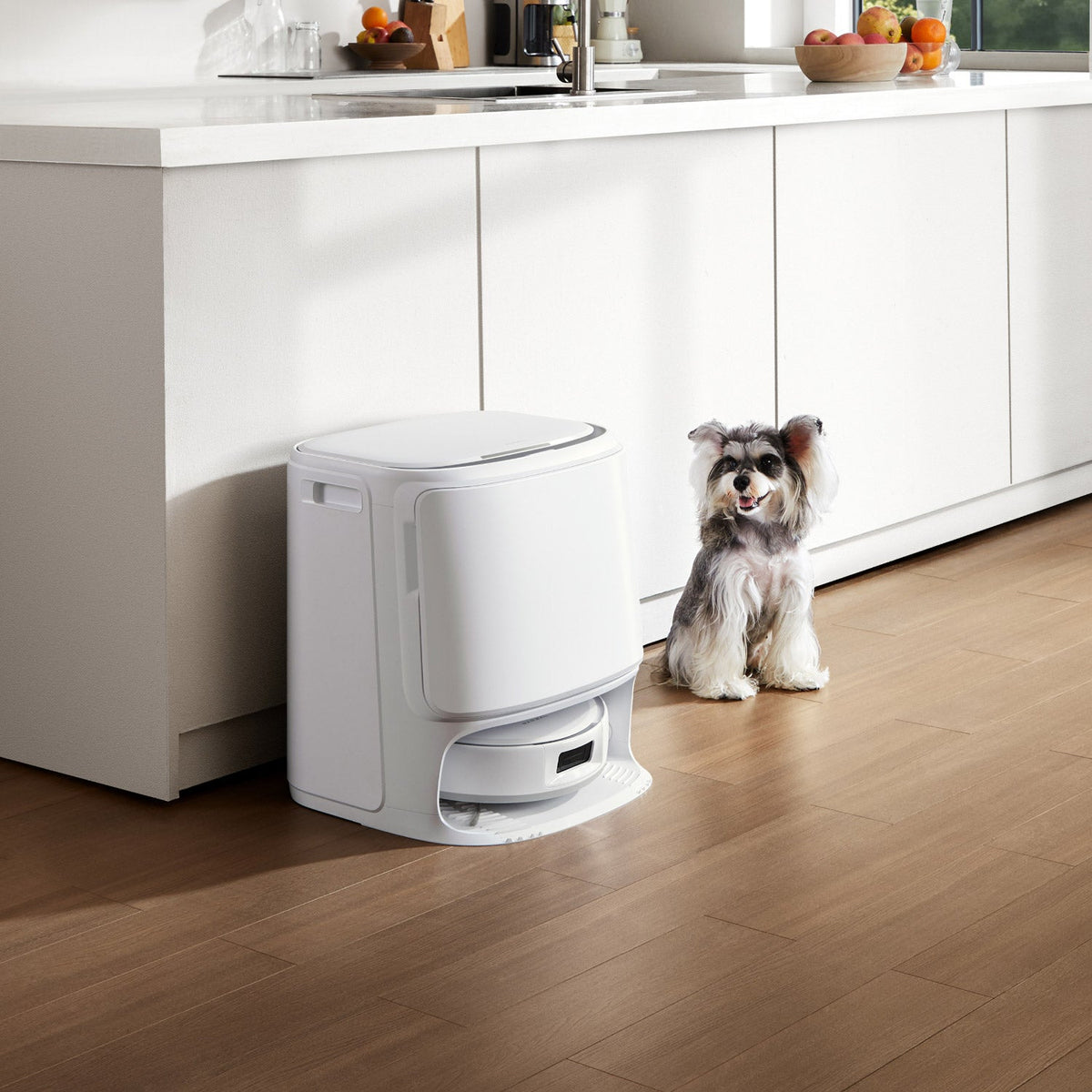 Narwal Freo Z10 Pro Robot Vacuum and Mop with Deep Carpet Cleaning Performance