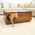 Coco Coffee Table with Hidden Pet Hideout - image 1