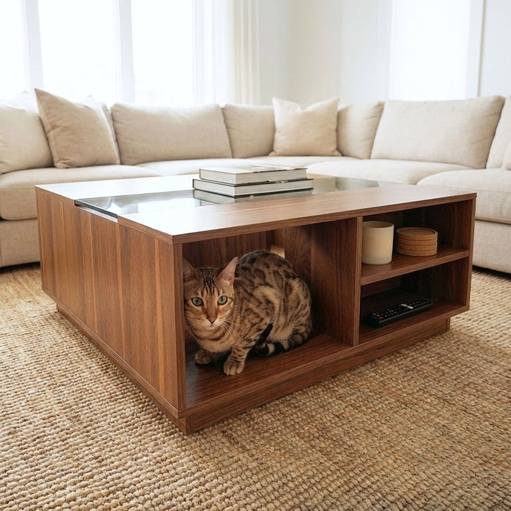 Coco Coffee Table with Hidden Pet Hideout - image 3