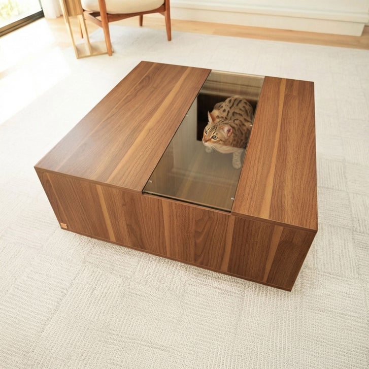 Coco Coffee Table with Hidden Pet Hideout - image 4