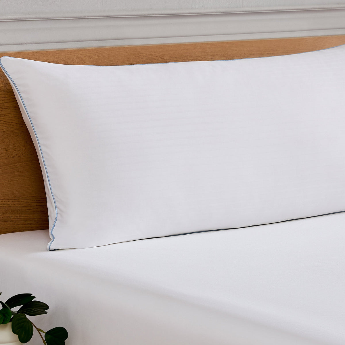The Ultimate Freeze Body Pillow by SleepCare