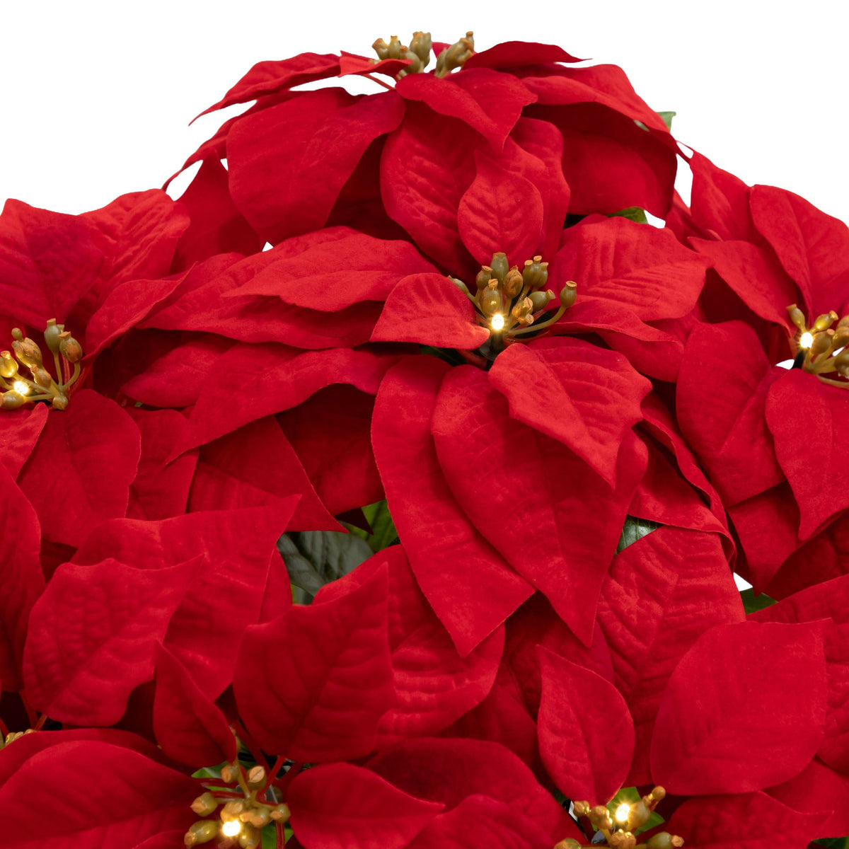 30" Pre-Lit Faux Red Velvet Poinsettia Pot