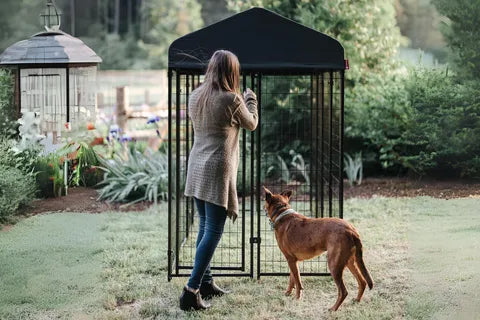 Lucky Dog STAY Series Villa Dog Kennel 4'x8' with Privacy Screen - image 8