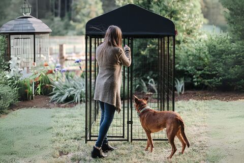 Lucky Dog STAY Series Villa Dog Kennel 4'x8' with Privacy Screen - image 12